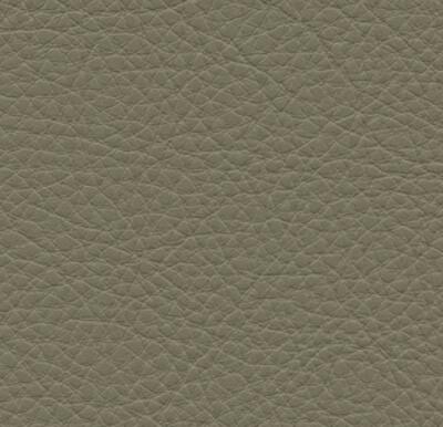 Symphony Classic Papyrus